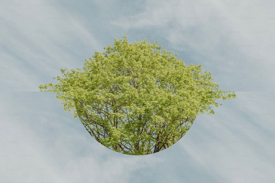 ​AI年代，教育怎么应对“思维能力退化”危险